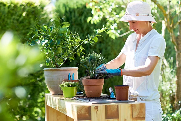Person bepflanzt Topf mit Gartenhandschuhen und Werkzeug
